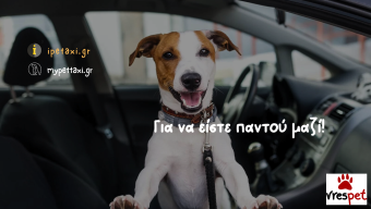 Υπηρεσία: Μεταφορά | Περιοχή: Χαϊδάρι, Αττική